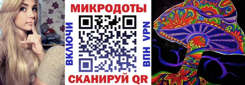 Псилоцибиновые грибы Psilocybe  Ейск 